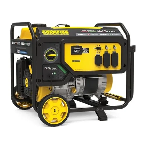 Champion 6875-Watt Dual Fuel