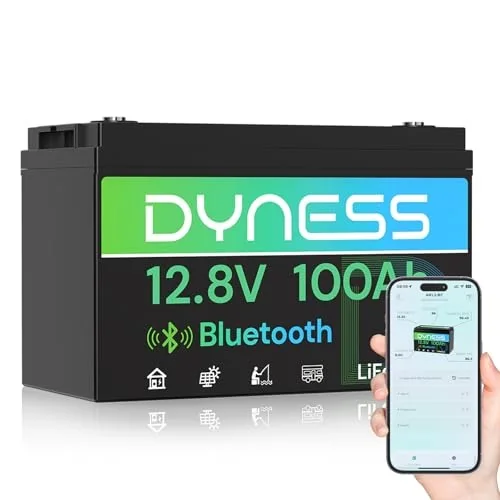 Dyness 12V 100Ah Bluetooth