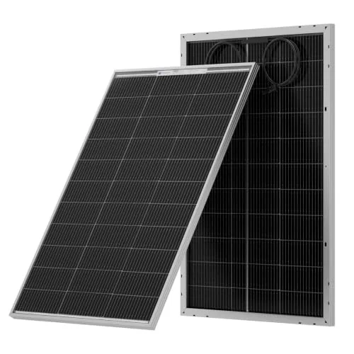 ECO-WORTHY 100W Bifacial 12V