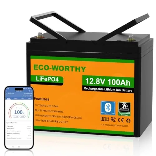 ECO-WORTHY 12V 100Ah Bluetooth