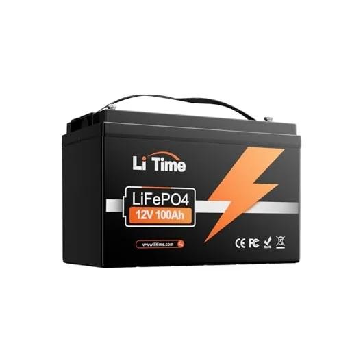 LiTime 12V 100Ah Group 31