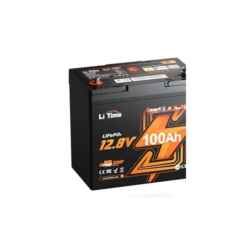 LiTime 12V 100Ah Xtra-Mini Bluetooth