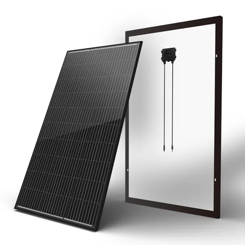 Newpowa 100W Bifacial 12V