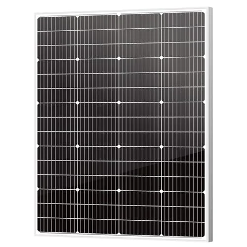 Newpowa 150W 12V Mono