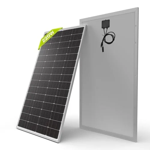 Newpowa 220W 12V Mono