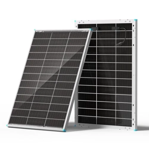 Renogy 100W N-Type Bifacial