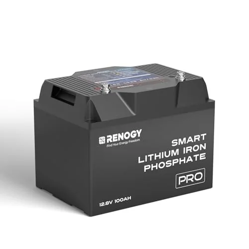 Renogy 12V 100Ah Pro Smart