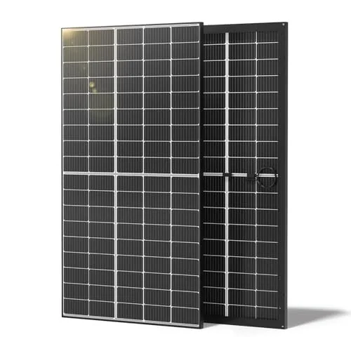 Renogy 640W (2 x 320W) Bifacial 2-Pack