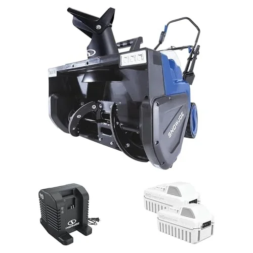 Snow Joe 48V IONMAX 24V-X2-SB22