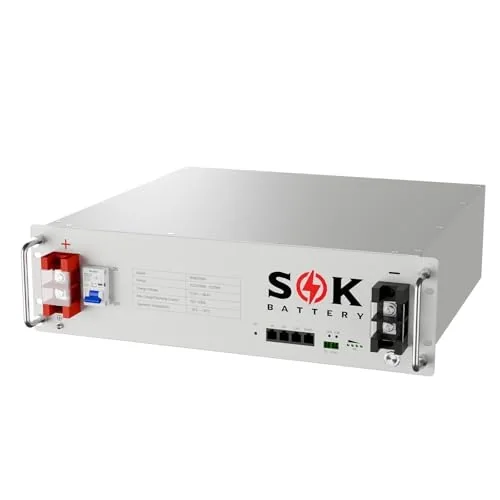SOK SK48V100N